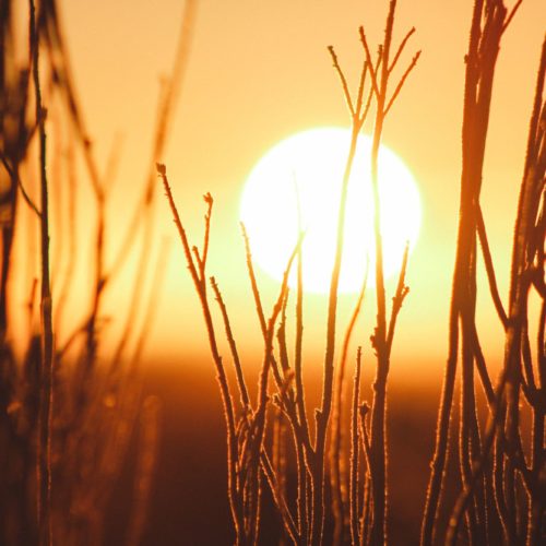 How to know when depression is really vitamin d deficiency 1