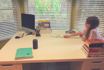 IKEA School Workstation 1